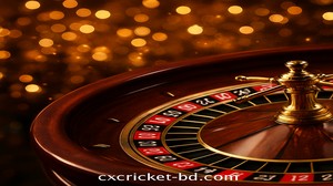 রেসপন্সিভ ডিজাইন cxcricket